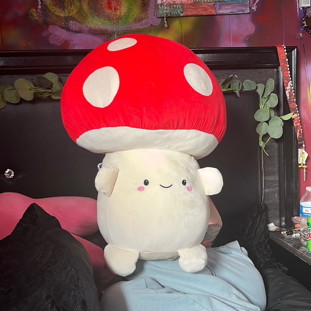 Stuff mushroom!